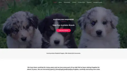 Screenshot of