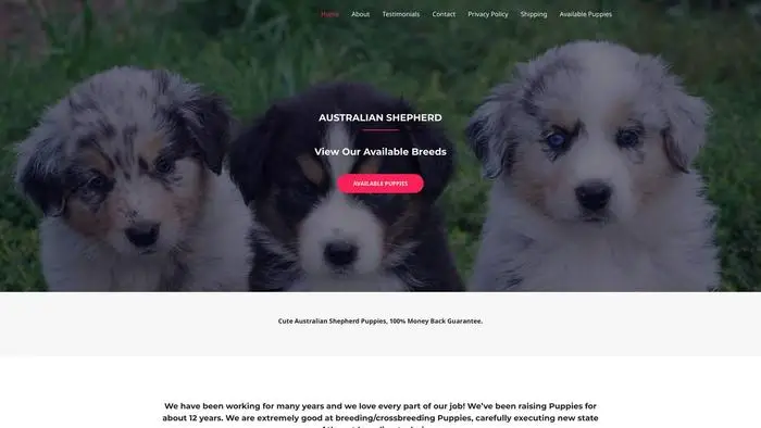 Screenshot of