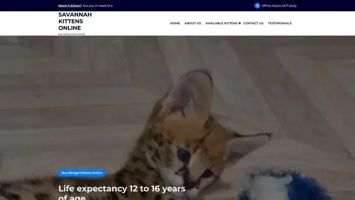 Screenshot of