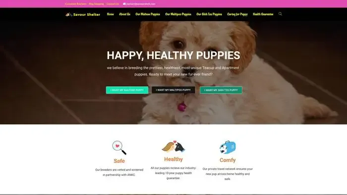 Screenshot of