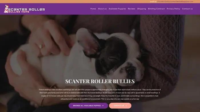 Screenshot of