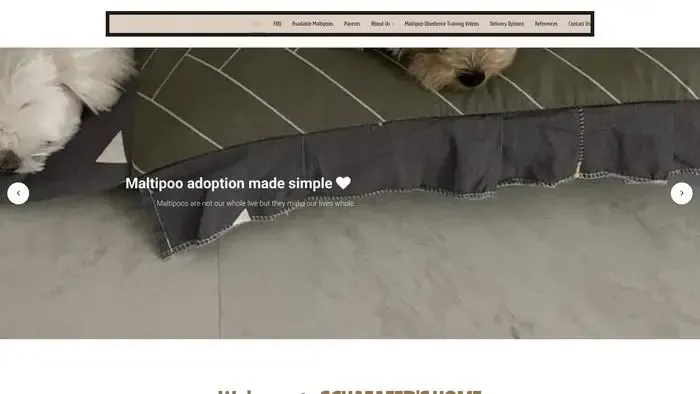 Screenshot of