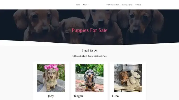 Screenshot of