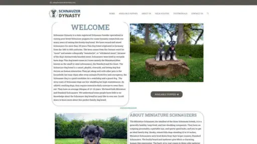 Screenshot of