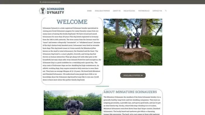 Screenshot of