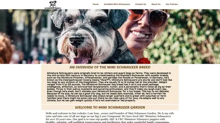 Screenshot of
