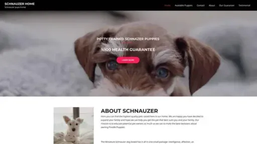 Screenshot of