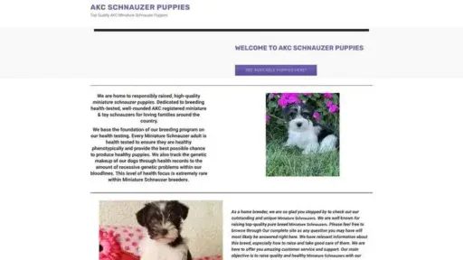 Screenshot of