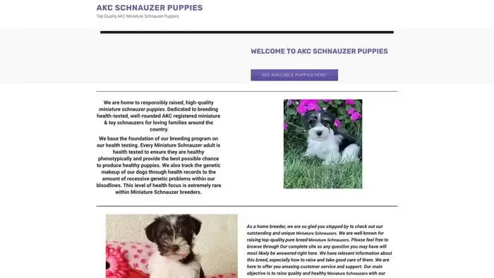 Screenshot of
