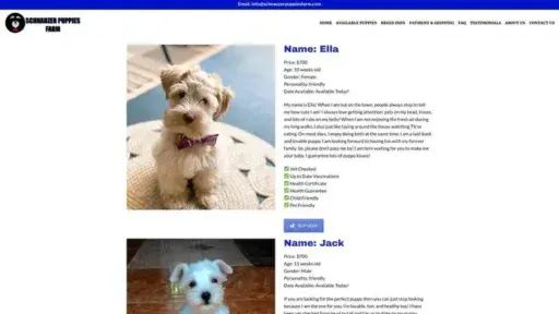 Screenshot of