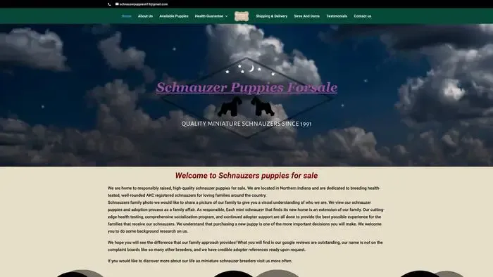 Screenshot of