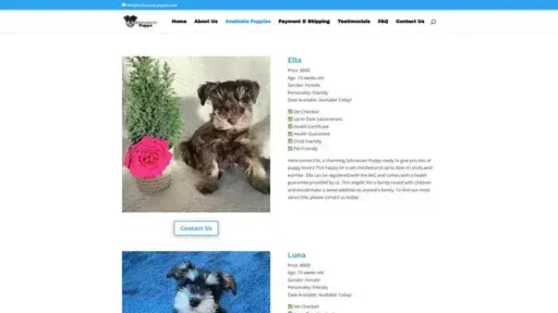 Screenshot of