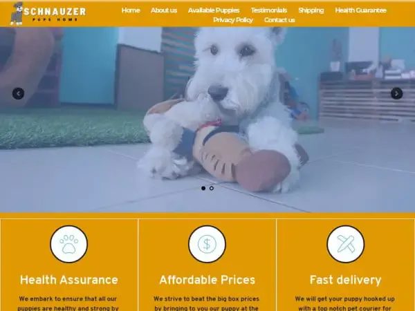Screenshot of