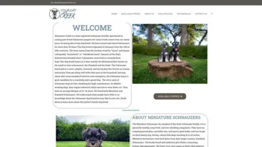 Screenshot of||