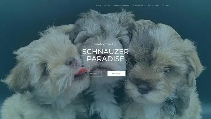 Screenshot of