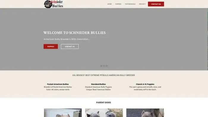 Screenshot of