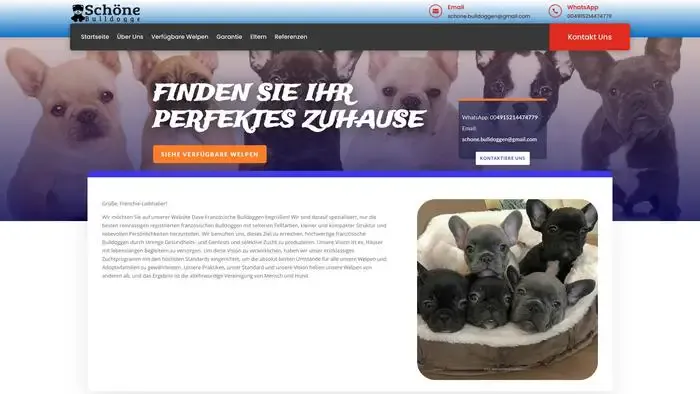Screenshot of