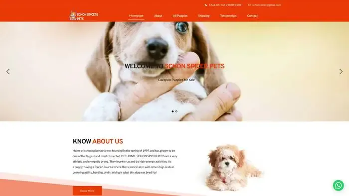 Screenshot of