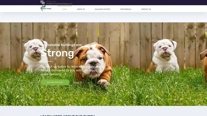 Screenshot of