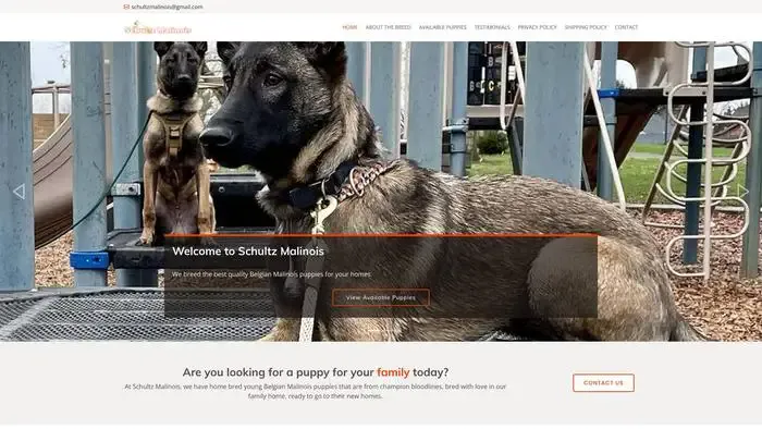 Screenshot of
