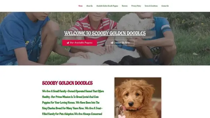 Screenshot of