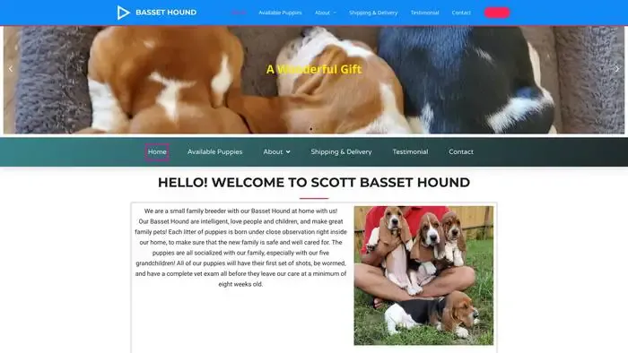 Screenshot of