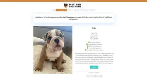 Screenshot of