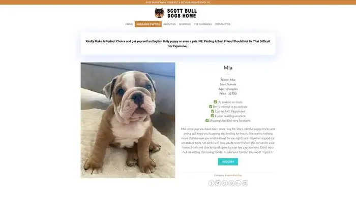 Screenshot of
