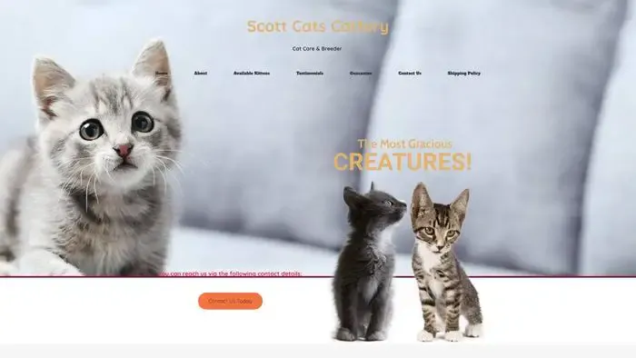 Screenshot of