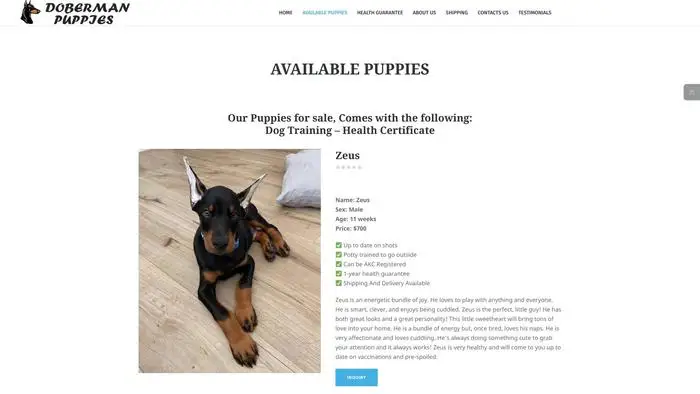 Screenshot of