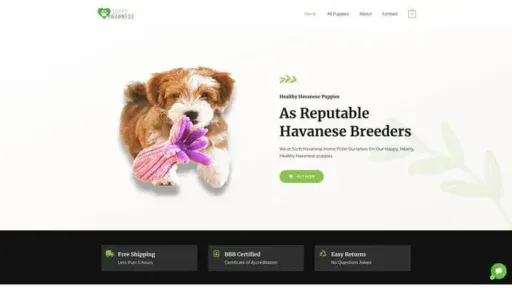 Screenshot of