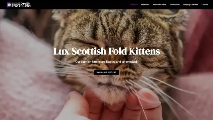 Screenshot of