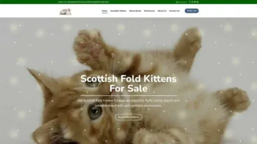 Screenshot of||