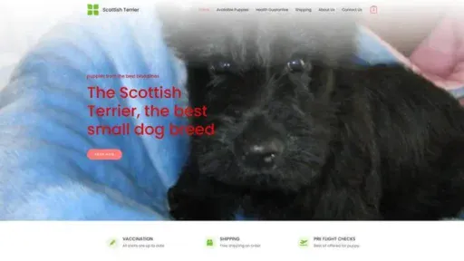 Screenshot of