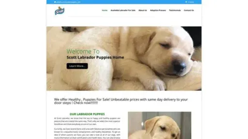 Screenshot of