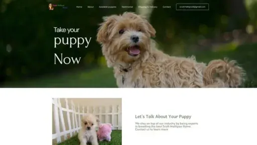 Screenshot of