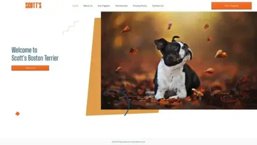 Screenshot of