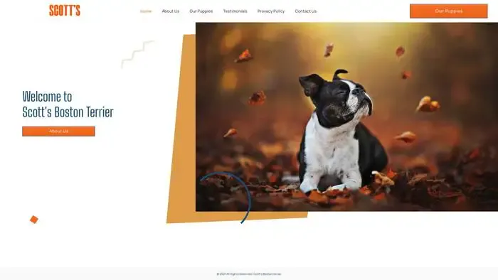 Screenshot of