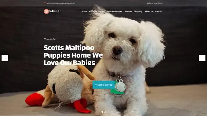 Screenshot of