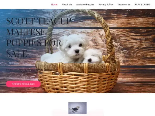 Screenshot of