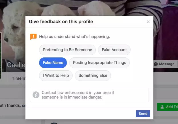 Fake Facebook Profile