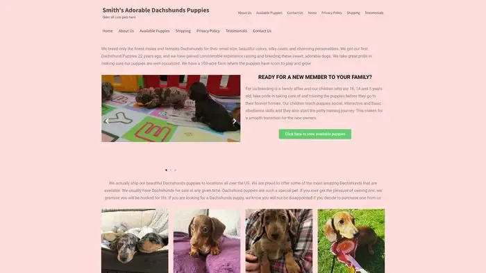 Screenshot of