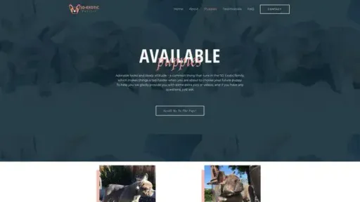 Screenshot of