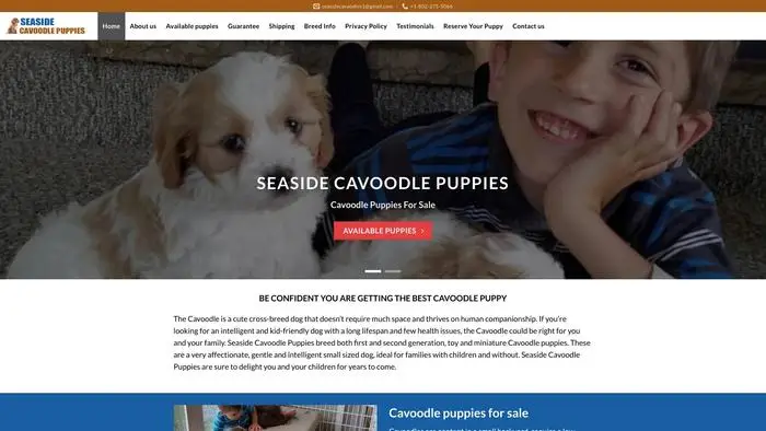 Screenshot of