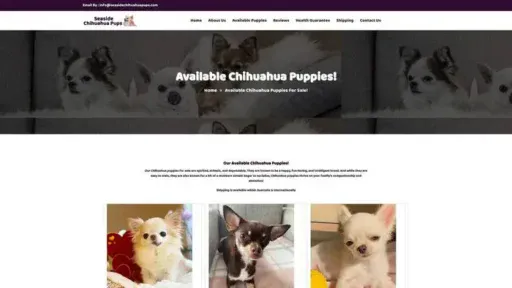 Screenshot of