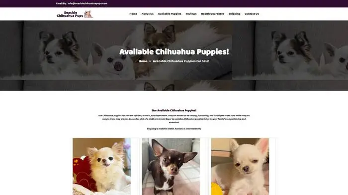 Screenshot of