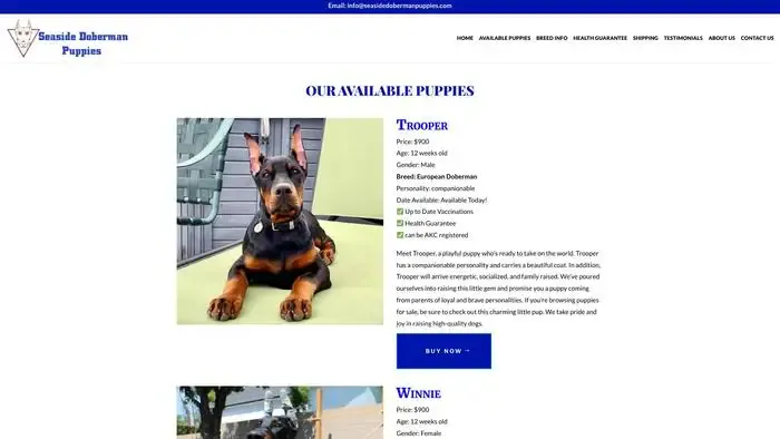 Screenshot of