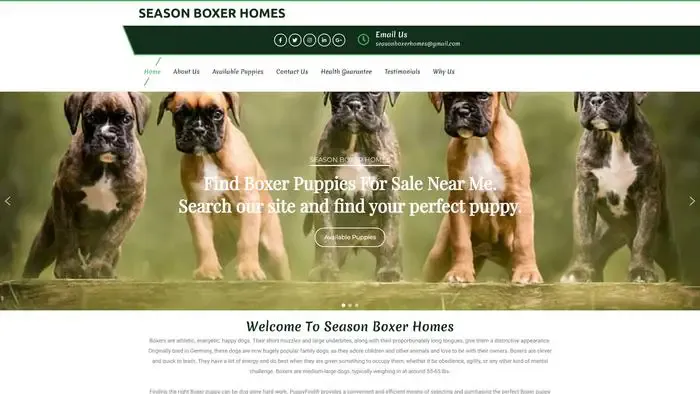 Screenshot of