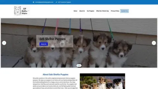 Screenshot of