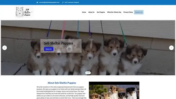 Screenshot of